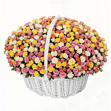 Премиум букет из: Розы в Целинном Алтайского края