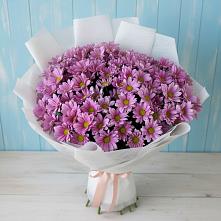 Букет цветов из:  Хризантемы в Целинном Алтайского края