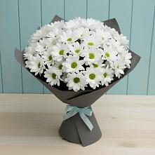 Букет цветов из:  Хризантемы в Целинном Алтайского края