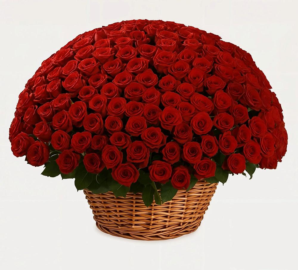 Премиум букет из: Розы в Целинном Алтайского края