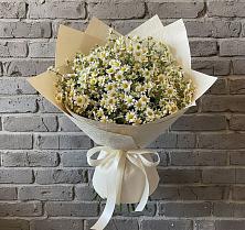 Букет цветов из:  Ромашки в Целинном Алтайского края