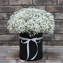 Цветочная композиция из Гипсофила в шляпной коробке #REPLACE_PRED# Целинном Алтайского края
