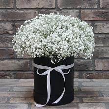 Цветочная композиция из Гипсофила в шляпной коробке в Целинном Алтайского края